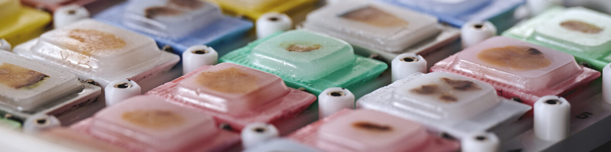 Axlab 22-06-234105_AS